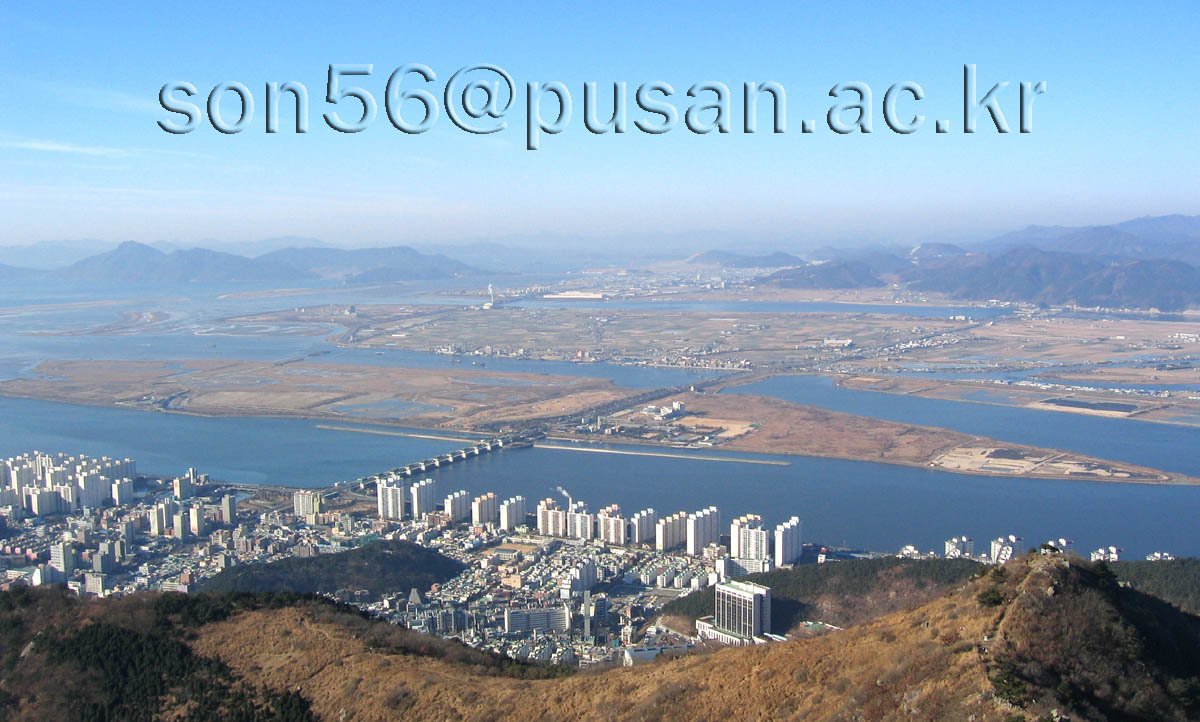 낙동강 삼각주(하부) 하부삼각주.jpg